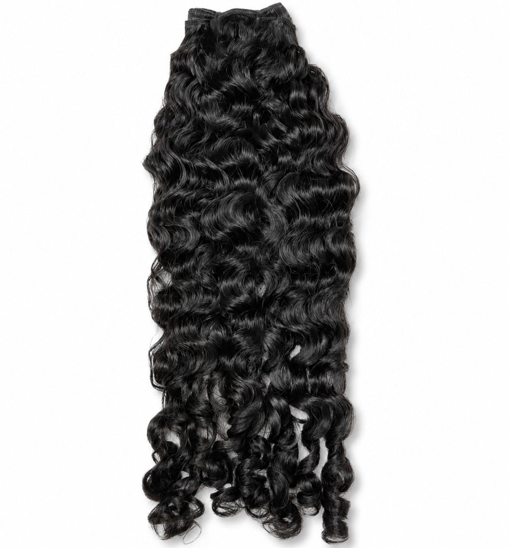 Virgin Burmese Curly