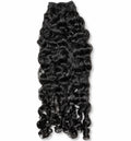 Virgin Burmese Curly